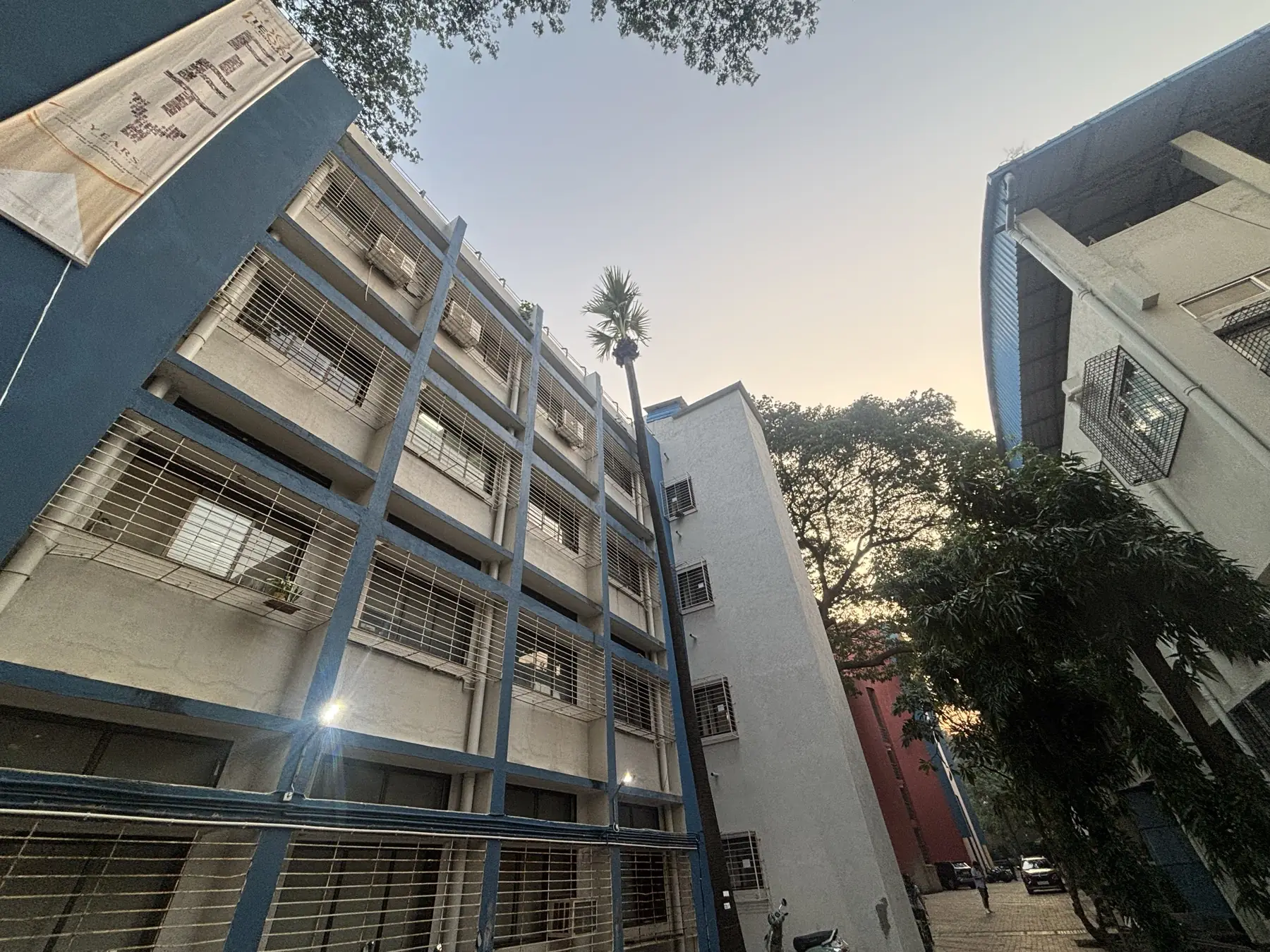 Looking up the IEOR building between the trees